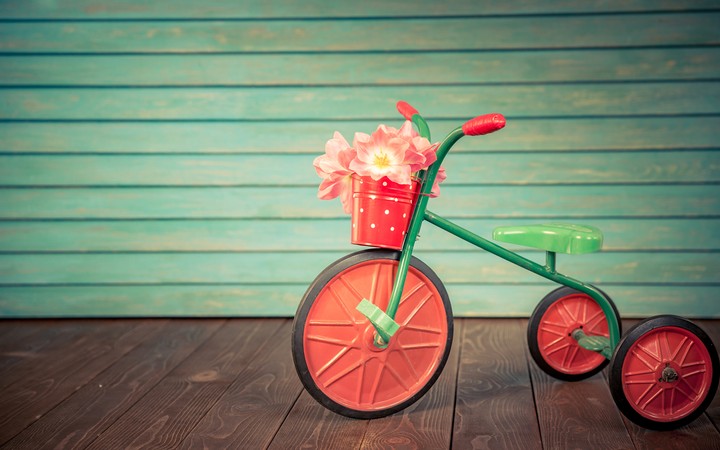 Bicycle bucket