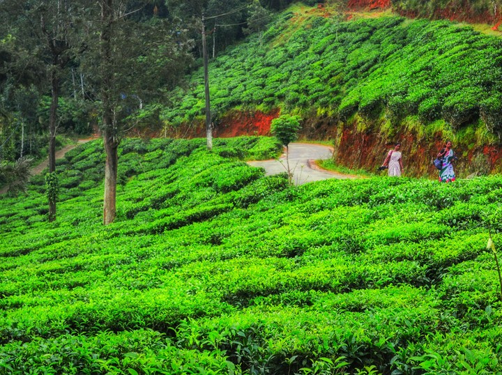 beautiful kerala