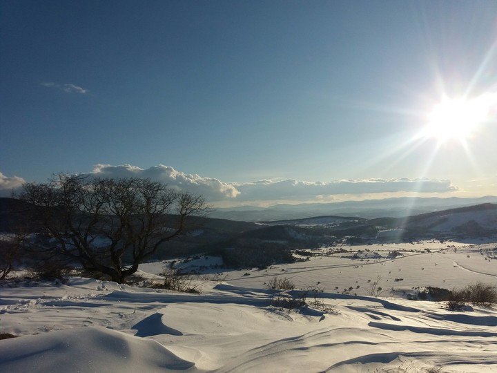 the hills are all white