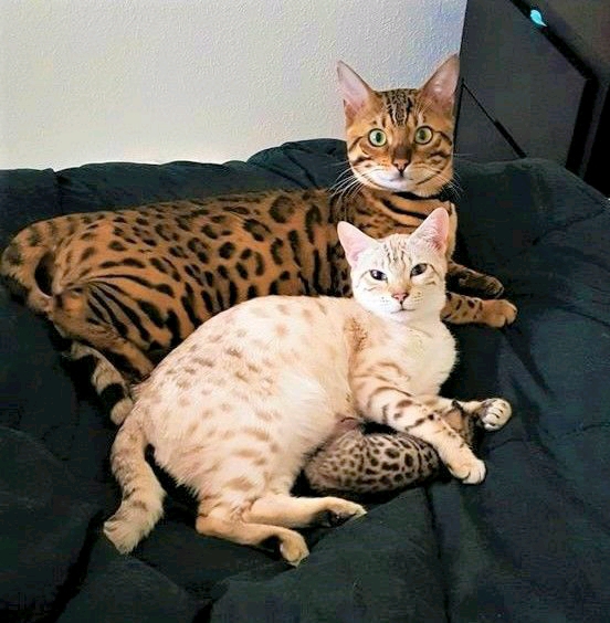 ❤