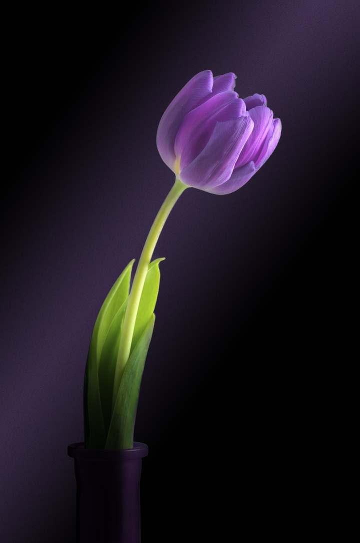 is beautiful