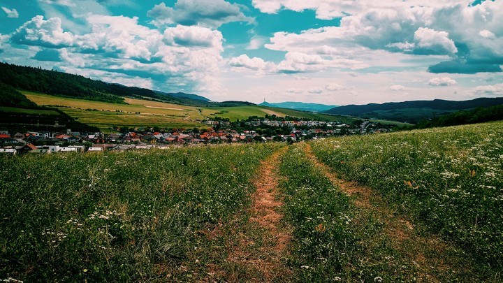 Landscape