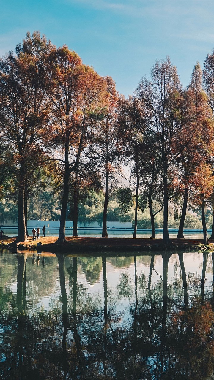 paysage