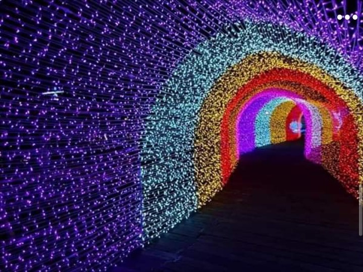 light festival....