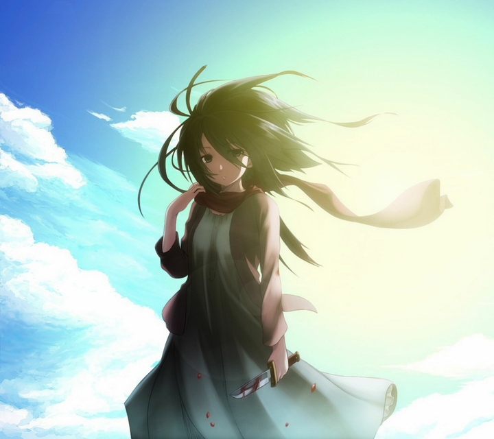 Mikasa
