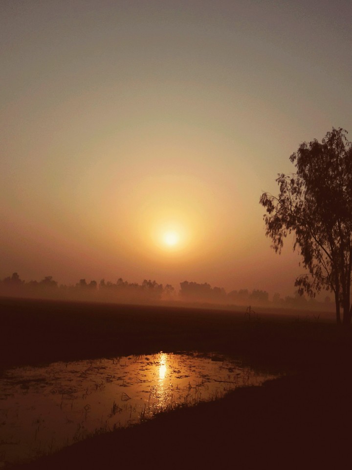 sun rise