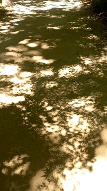 ?