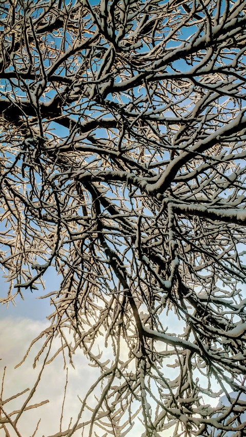 winter
