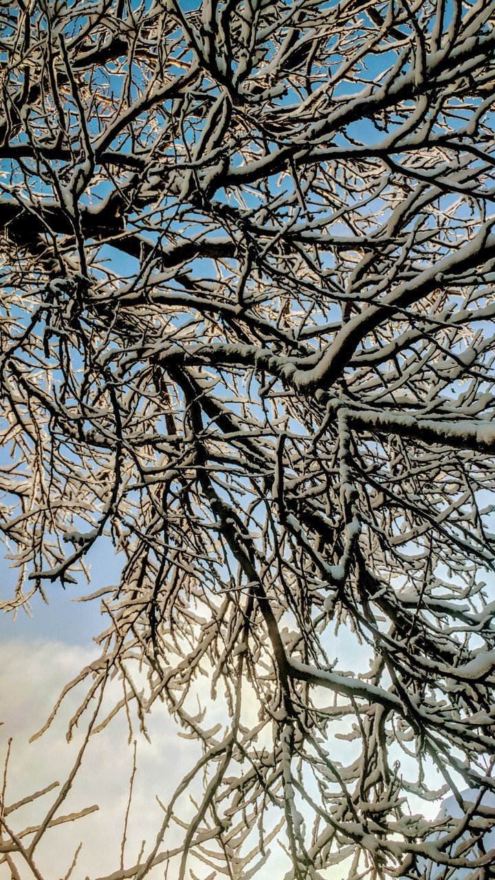 winter