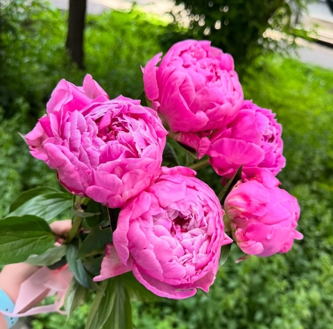 بدون عنوان