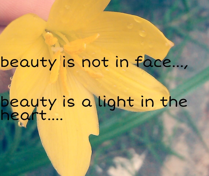 beauty...