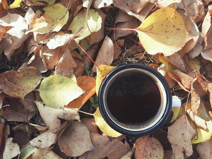 autumn