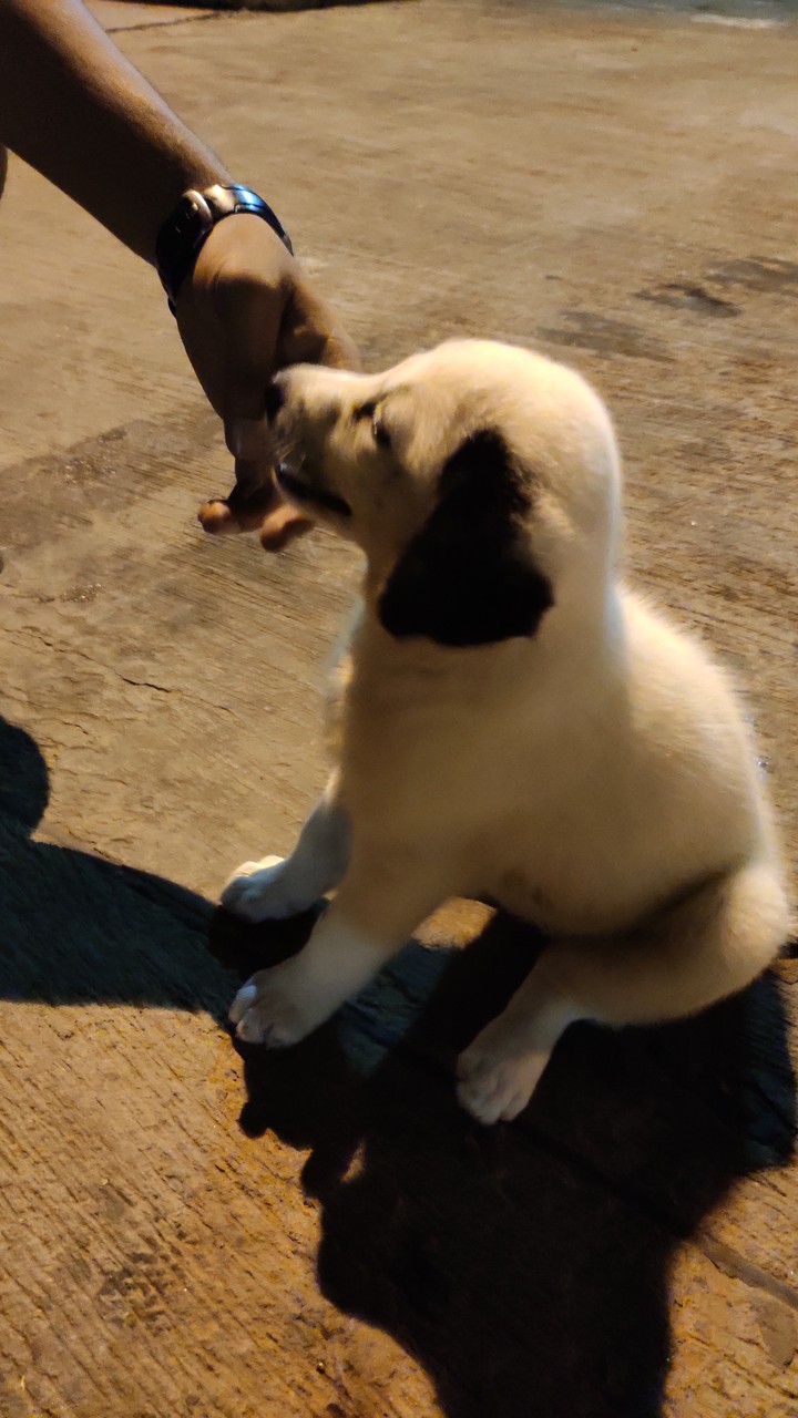 little guy..!