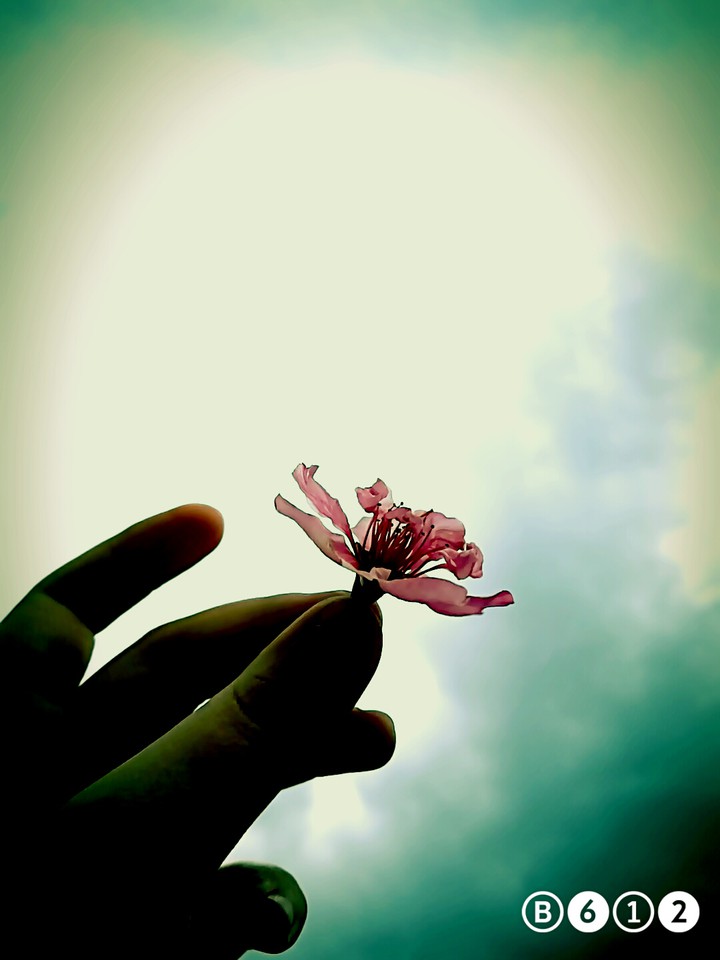 my photography