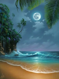 nature beauty