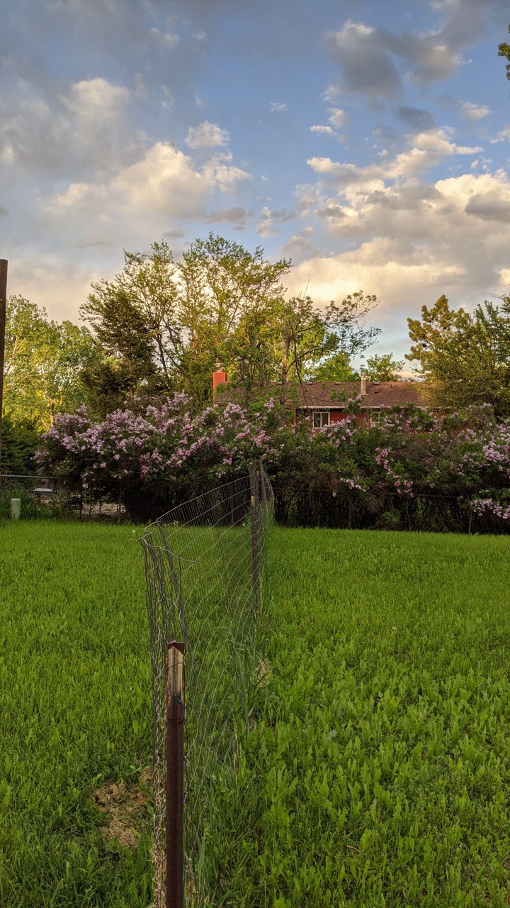 My back yard :)