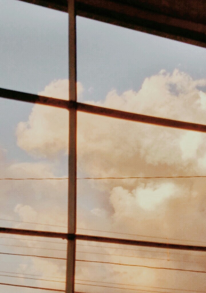 cotton candy