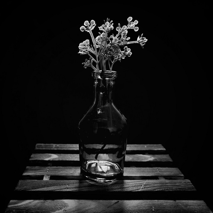 still life