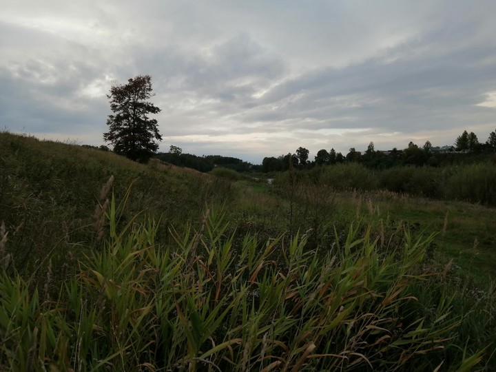 Ранняя осень