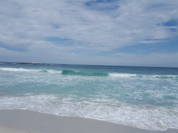Wave