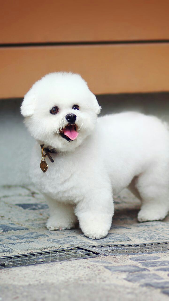 cute