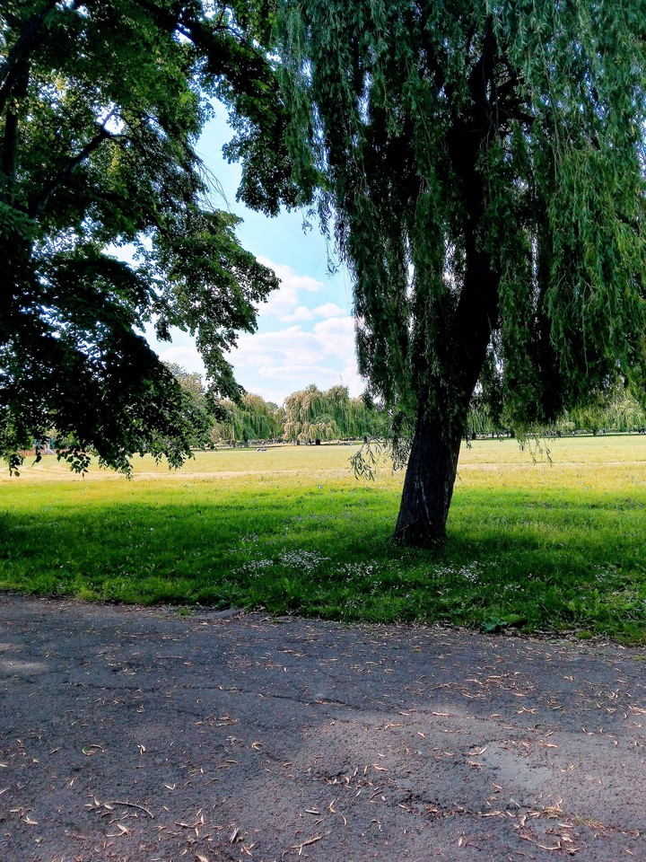 hot summer day