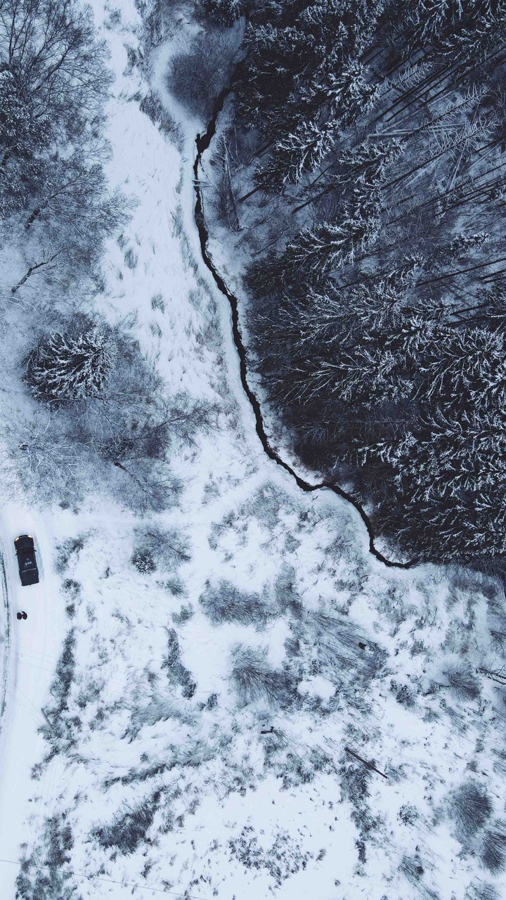 Frozen dreams..