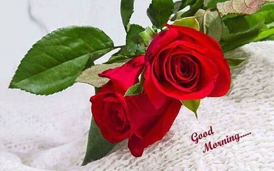 Gud mrng