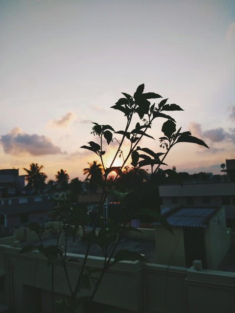 #sun