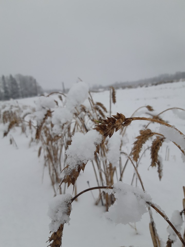 When summer meets winter