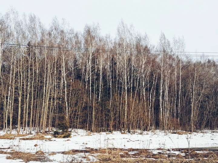 Spring is coming