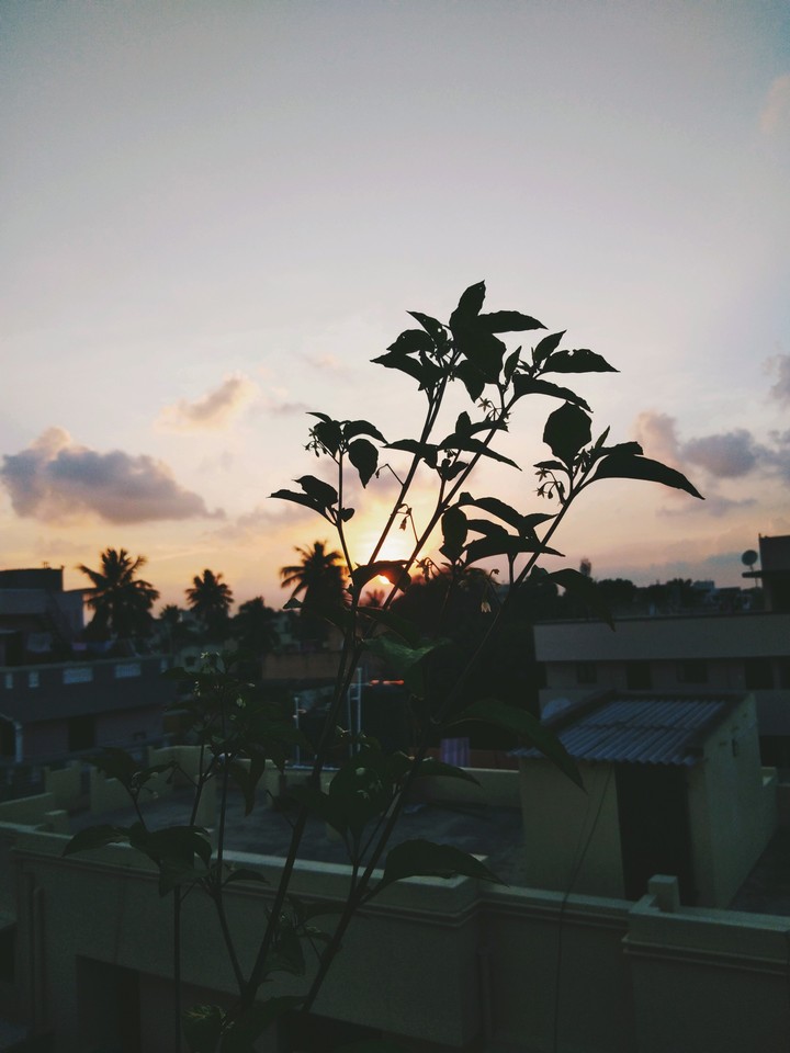 #sun