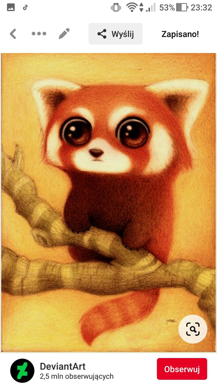 słodziasna panda mała