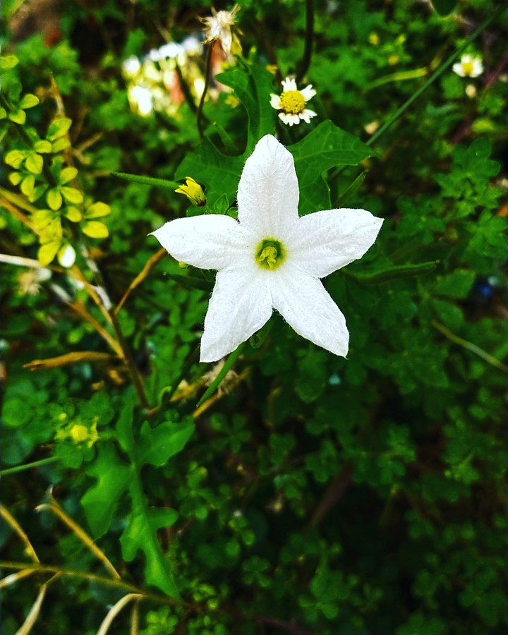 my photography