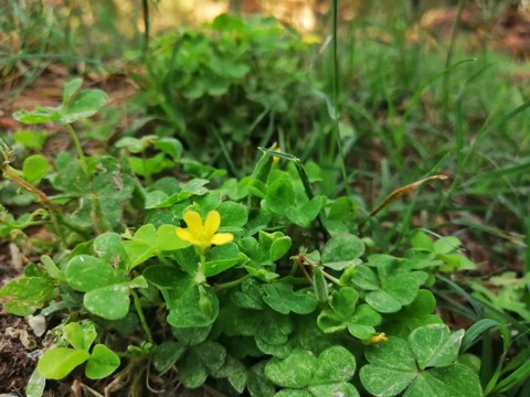 Ai photography