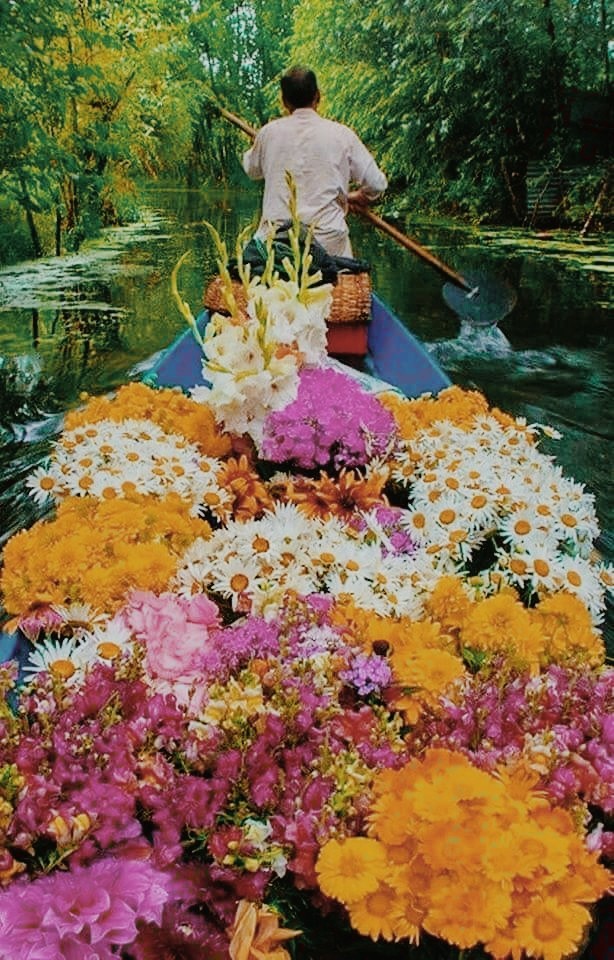 flores