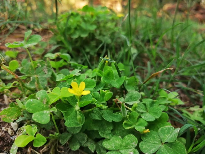 Ai photography