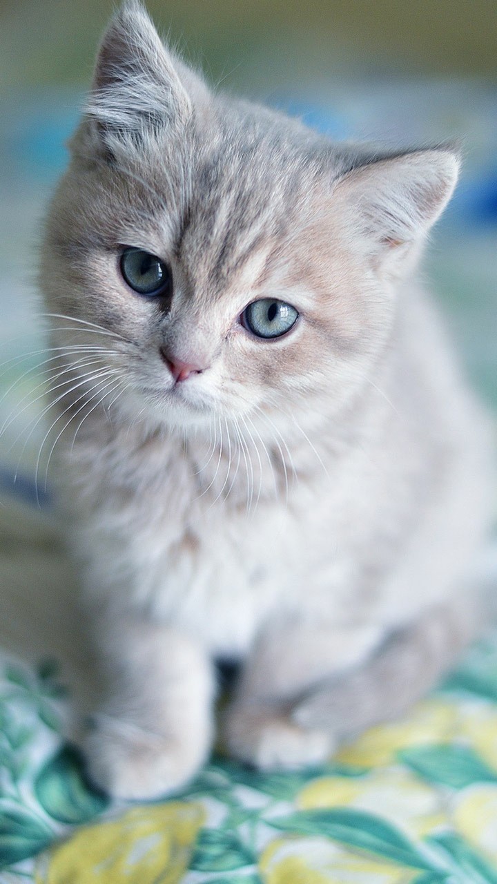 cuteee
