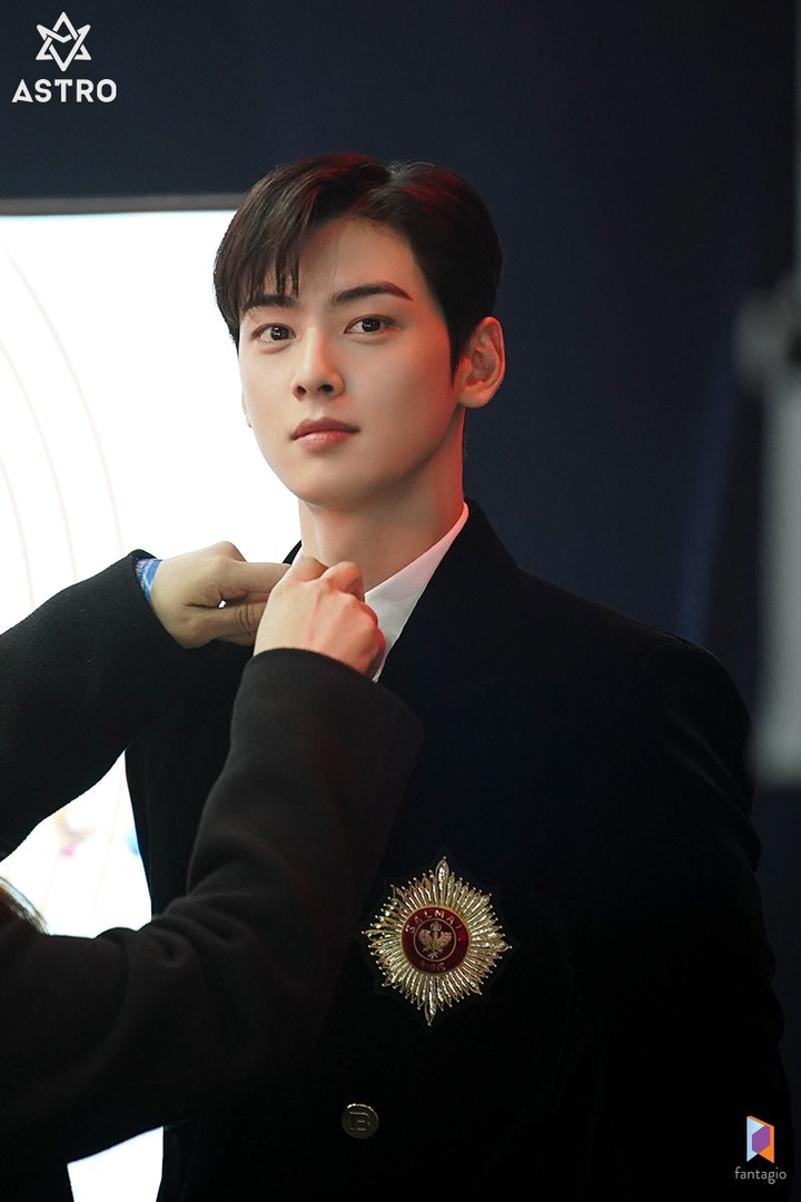 Korean actor ChaEunwoo