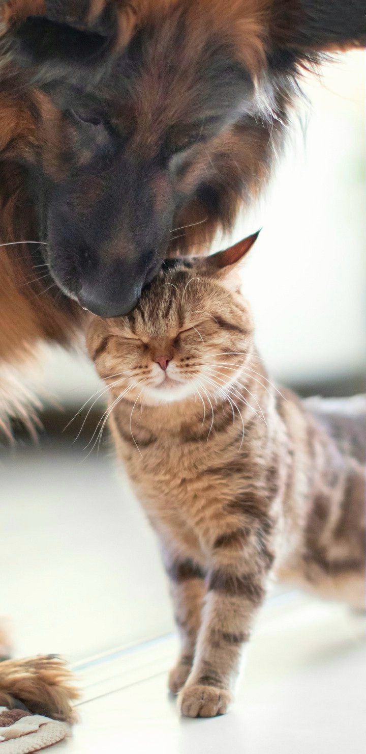 Friendship