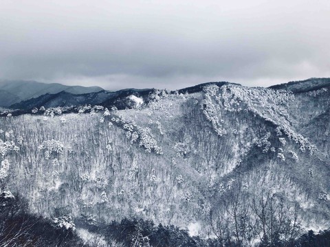 눈덮인 산