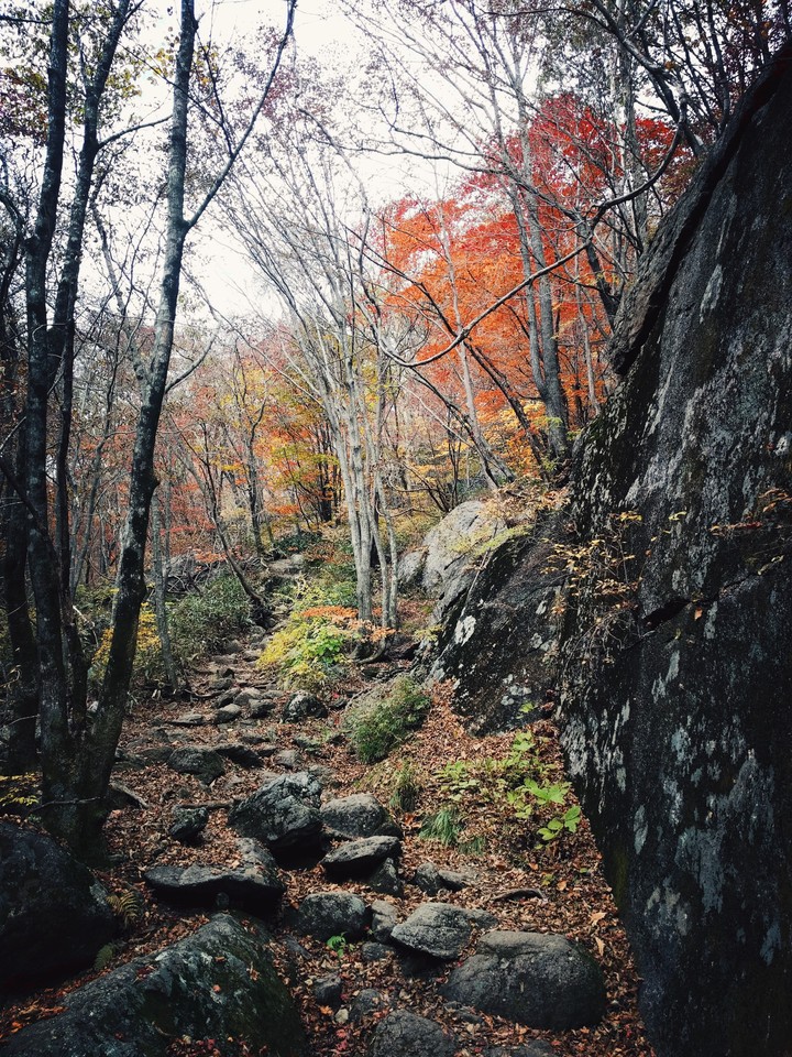 지리산