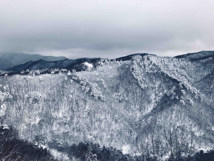 눈덮인 산