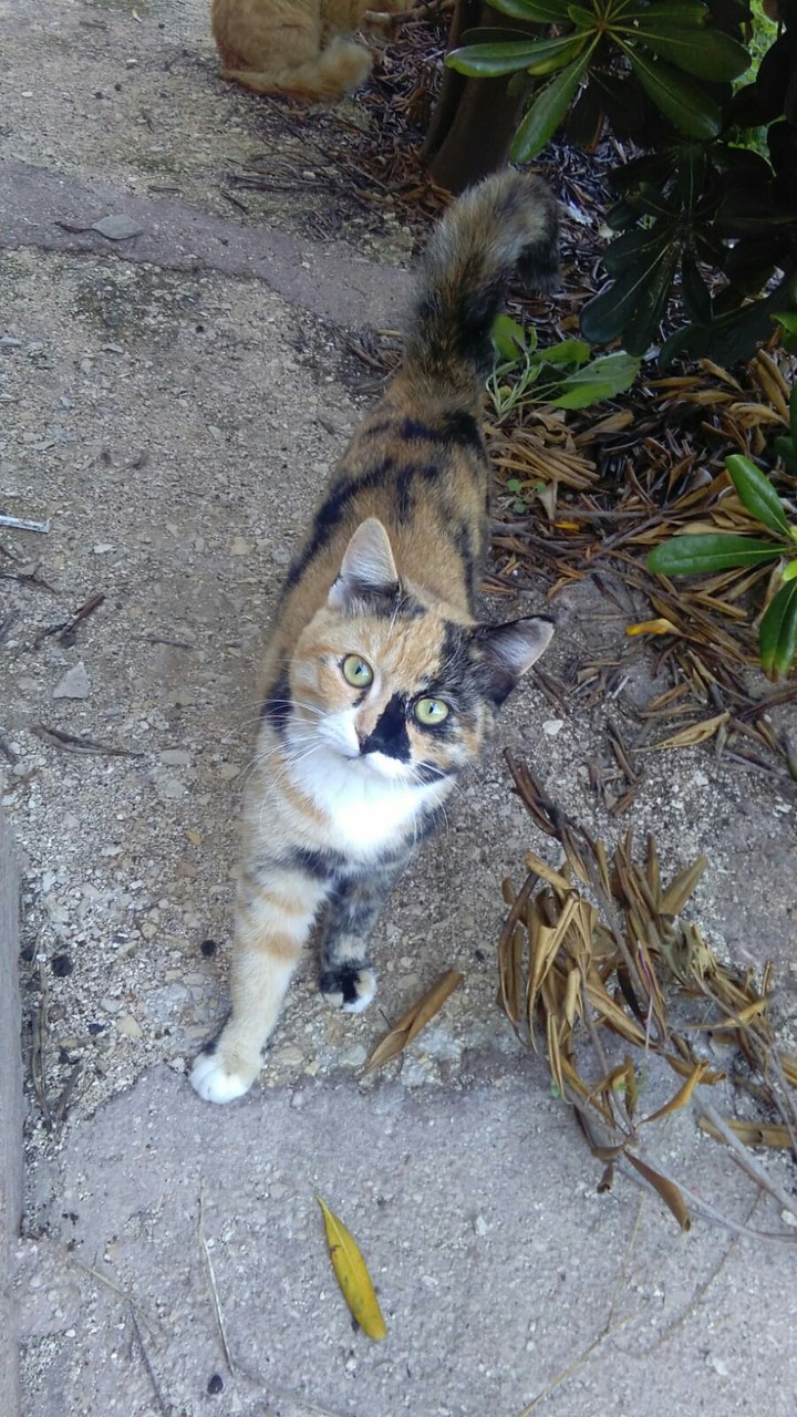 La mia bambina