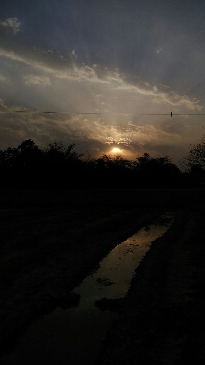 still alone and missing some 1