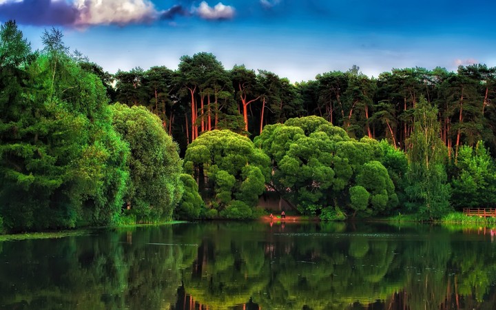 this is the natural greenery