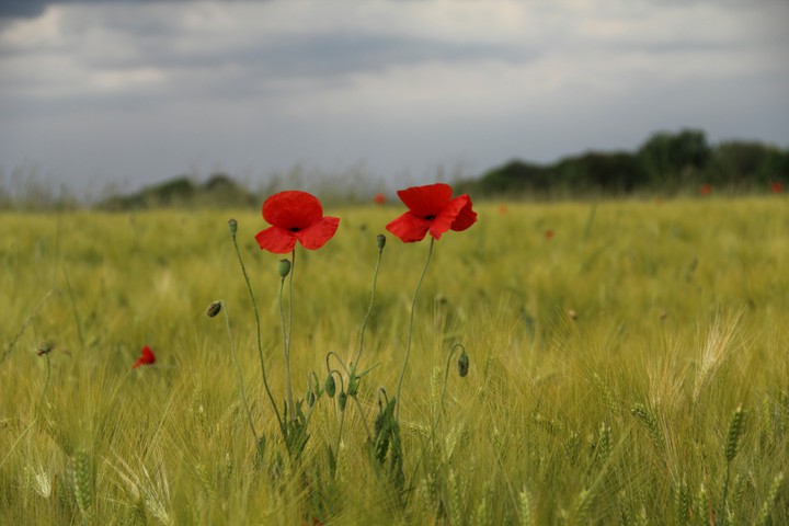 zusammen