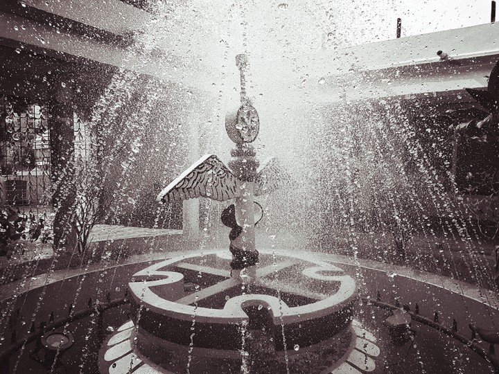 The Nirjharinee