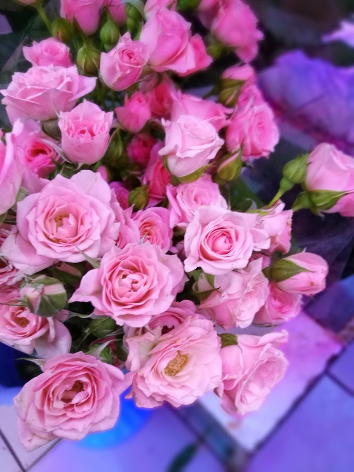 flowers