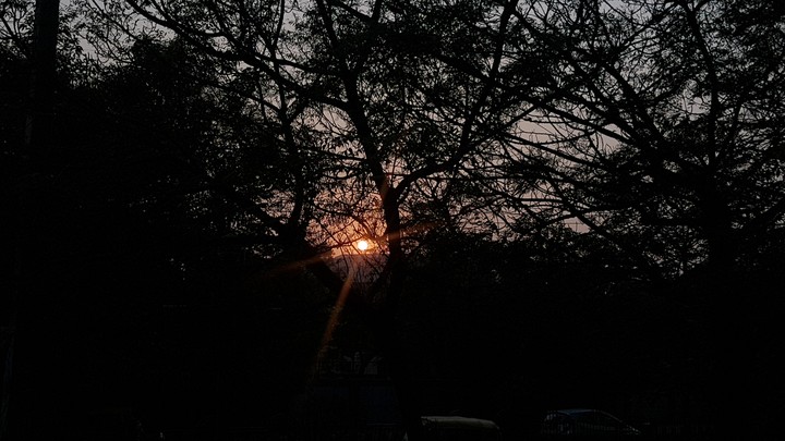 Sunset